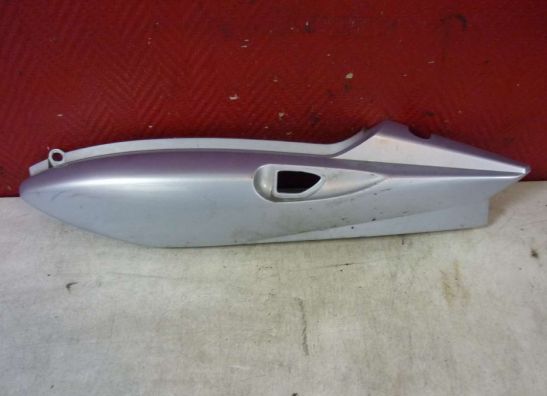 Heck links Yamaha TDM