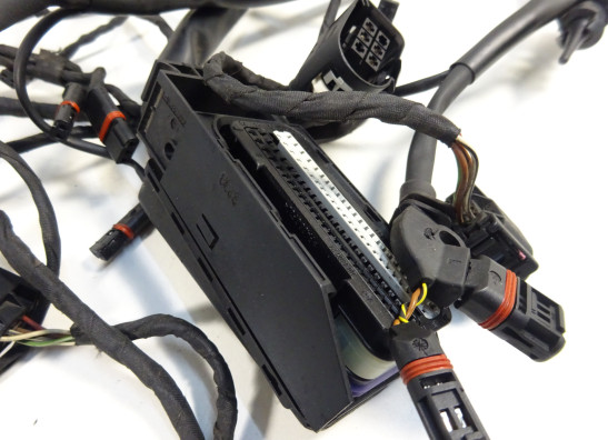 Kabelboom BMW F 650 GS