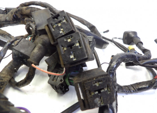 Kabelboom Triumph Sprint RS