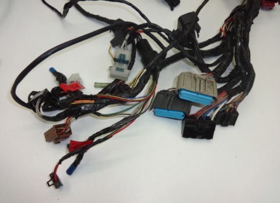 Kabelbaum Kawasaki Z 750