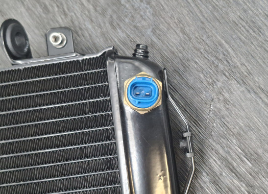 Radiator KTM 690 Duke 