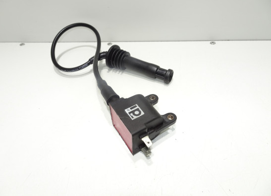 Ignition Coil Triumph Tiger 900
