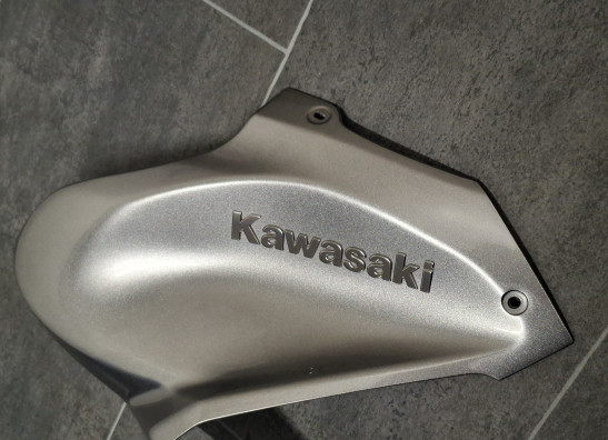 Rechter zijkuip klein Kawasaki Z 900