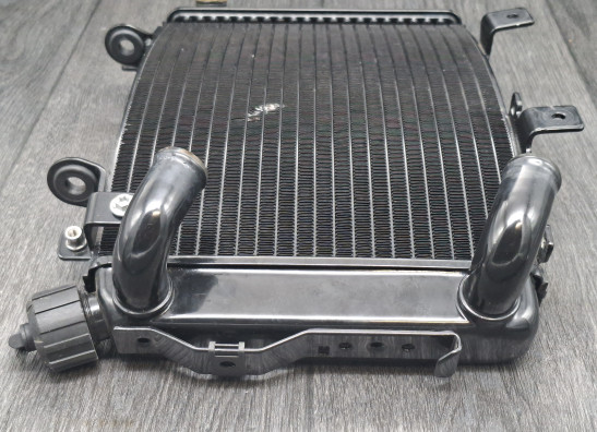 Radiator KTM 690 Duke 