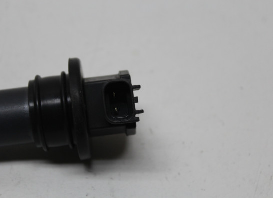 Bobine Triumph Sprint GT 1050