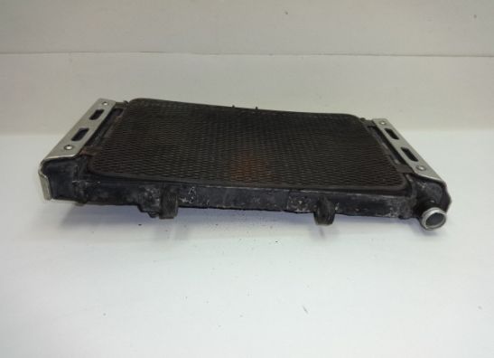 Radiator Suzuki GSF 400 Bandit