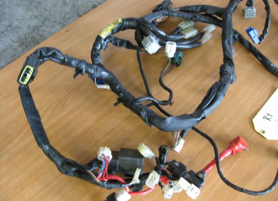 Kabelboom Yamaha YZF R1