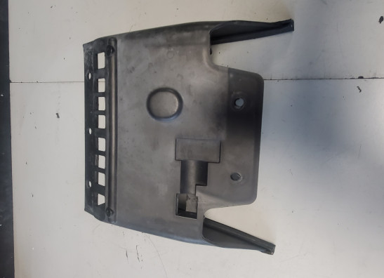 Verkleidungsteil Aprilia Tuono 1000