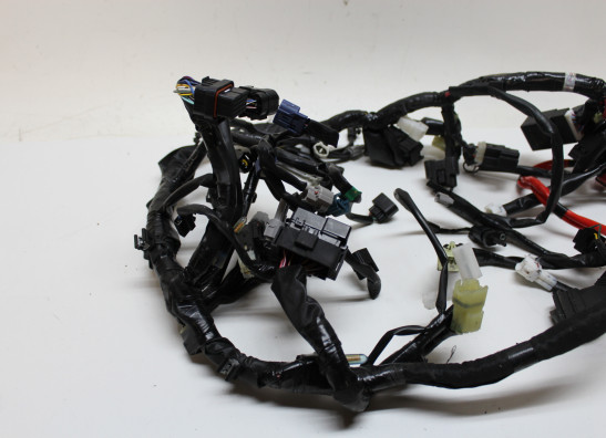 Kabelboom Yamaha XSR 900