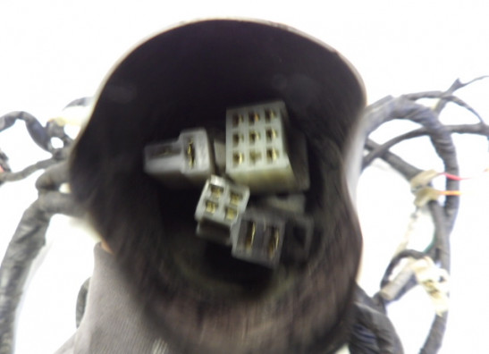 Kabelboom Yamaha TDM