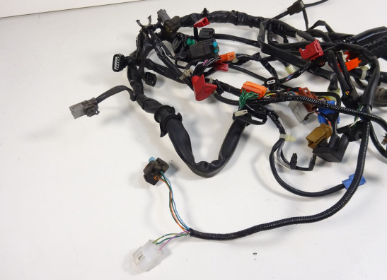 Wire Harness Honda NC 700 S