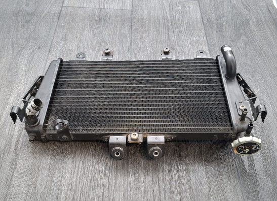 Radiator Triumph Tiger 1050