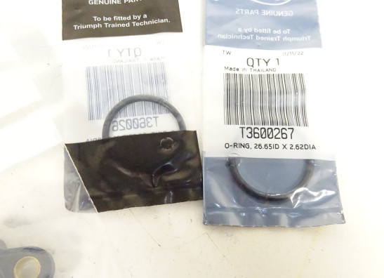 Getriebe Triumph Street Triple 675