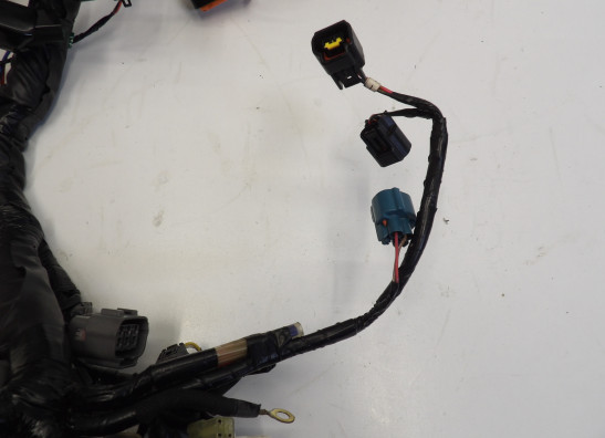 Kabelboom Kawasaki 650 Vulcan S