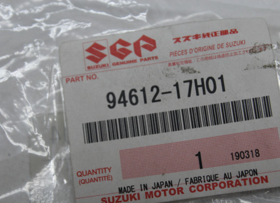 Scheibe Windschild Suzuki GSX F 650