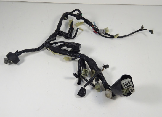 Kabelboom voor Yamaha FJR 1300