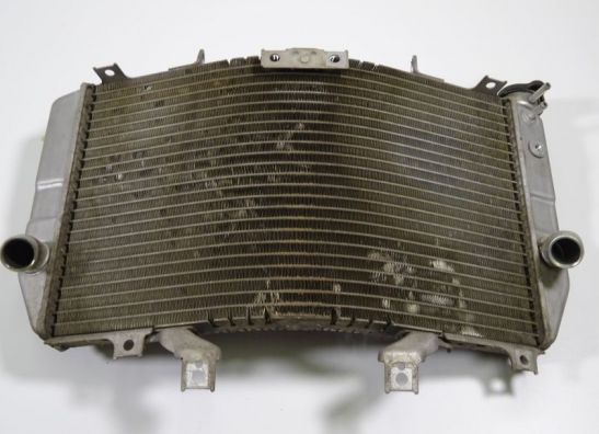 Radiator Suzuki GSX R 1000