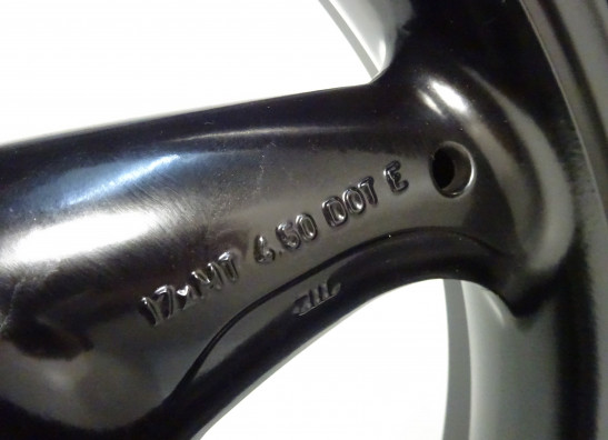 Achtervelg Ducati Monster 695