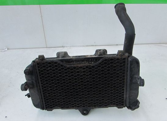 Kuhler Yamaha TDM