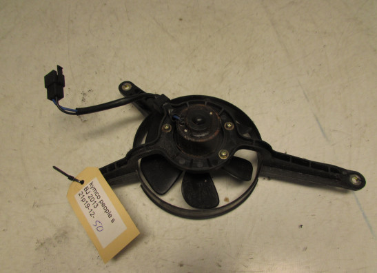 Fan Kymco People S 300i