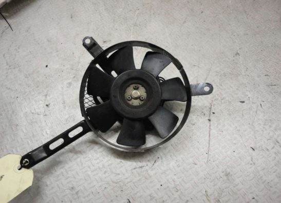Fan Suzuki GSX R 1000