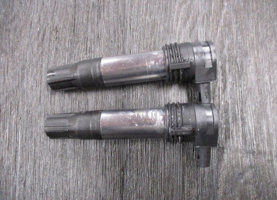 Ignition Coil BMW R 1200 GS LC Adventure