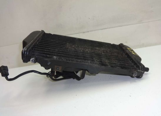 Radiateur Kawasaki EL 250