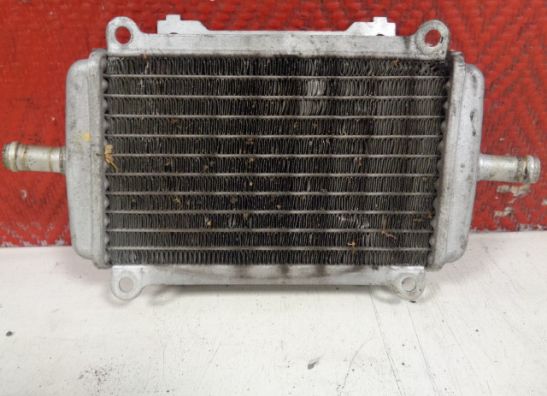 Radiateur Vespa Gts 300 2003-2005