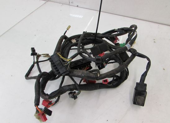 Wire Harness Honda CBR 1000 F