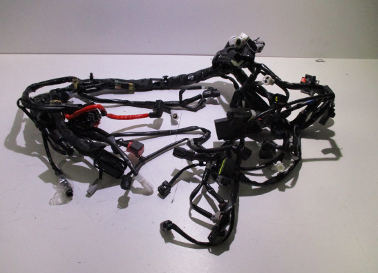 Kabelboom Yamaha YZF R7