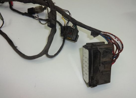 Wire Harness Kawasaki ER 5