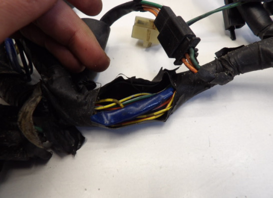 Kabelboom Honda CBR 600 F