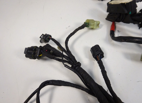 Kabelboom Ducati monster 1100