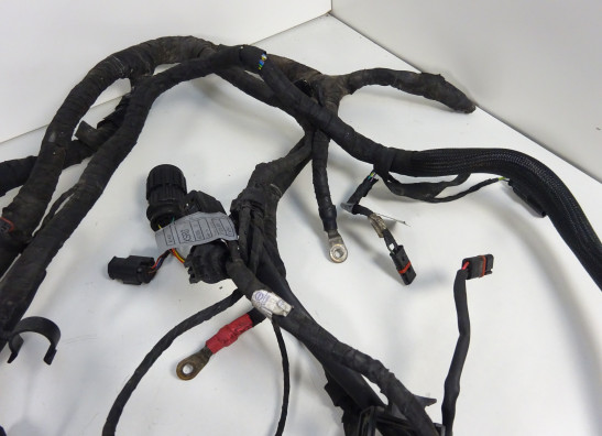 Kabelboom BMW K 1200 S 