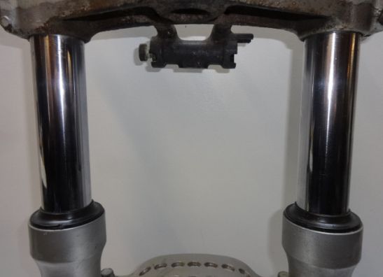 Gabelholm Komplett Kawasaki GPZ 600