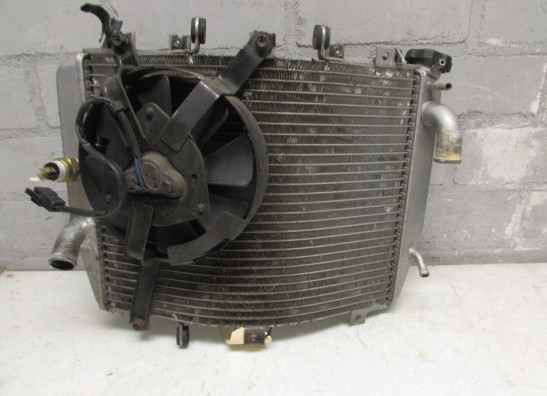 Radiateur Kawasaki ZX 6 R