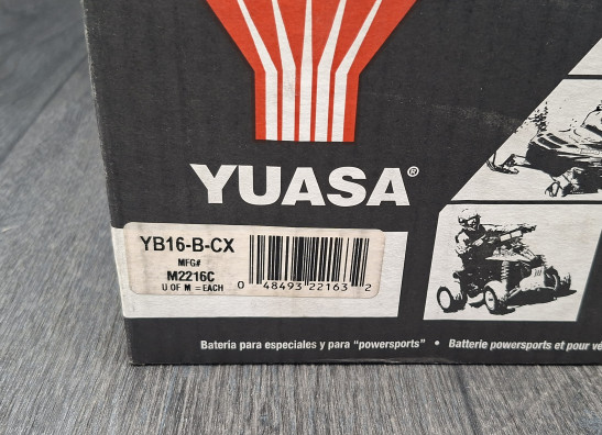 Accu Harley Davidson FXSTS Springer Softail