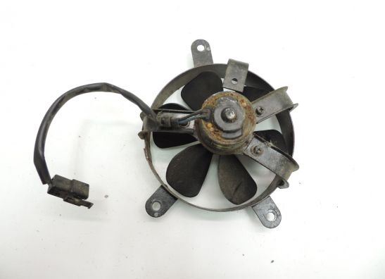 Fan Suzuki Burgman 400