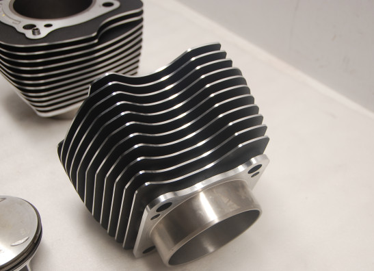 Cilinderblok Harley Davidson Softtail