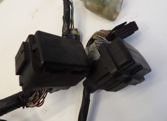 Kabelboom Honda CBF 1000