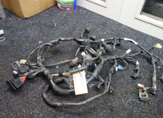 Wire Harness Kawasaki Z 650