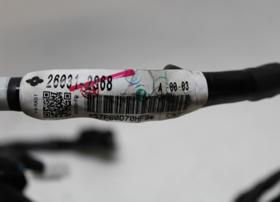 Kabelbaum Kawasaki Z 650