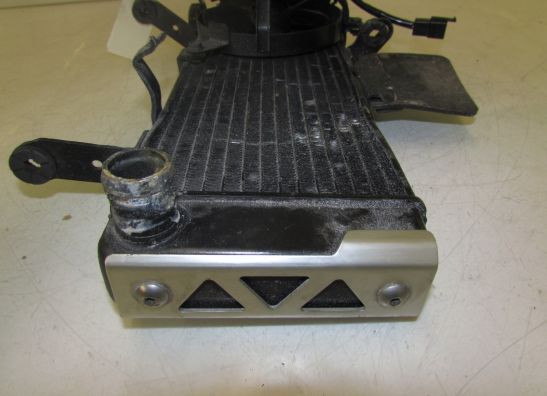 Radiateur Suzuki GSF 600 650 Bandit 