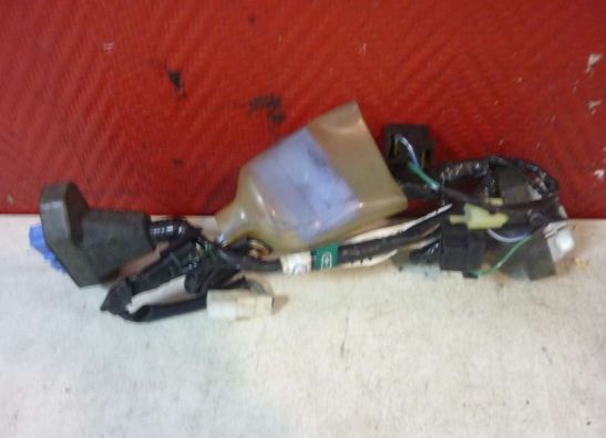 Wire harness front Honda CBR 1100 XX