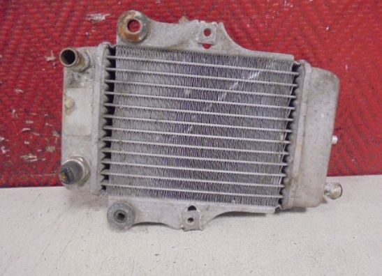 Radiateur Honda Dylan