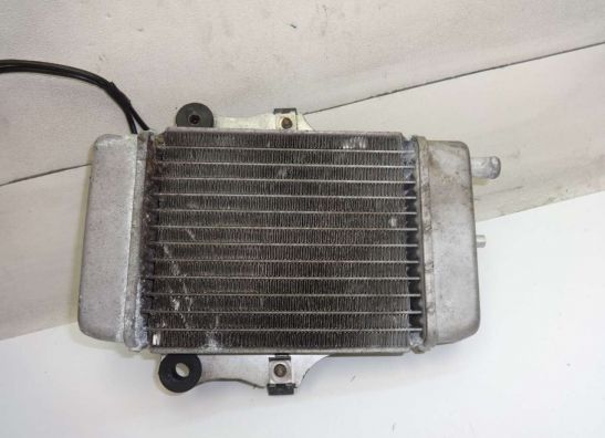 Radiateur Honda Dylan