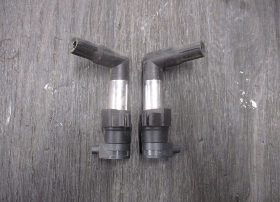 Ignition Coil BMW R Nine T