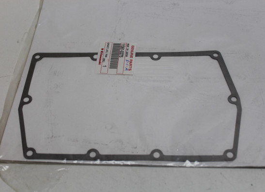 Dichtung Kawasaki KLE 500