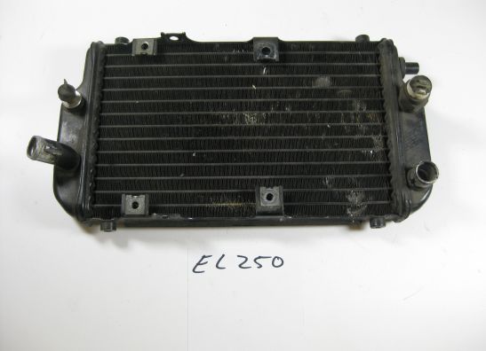 Kuhler Kawasaki EL 250