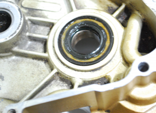 Motorblok Ducati monster 600